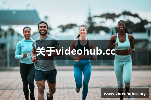 关于videohub.cc